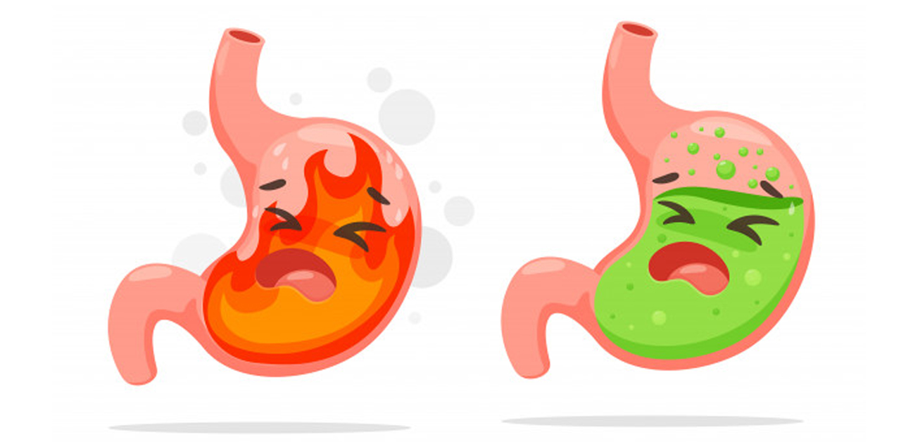 Lý do tại sao gừng có thể giúp giảm triệu chứng trào ngược dạ dày?
