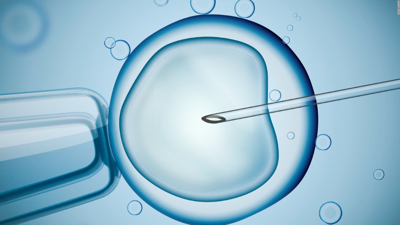 IVF là gì và tại sao nó được sử dụng để mang thai?
