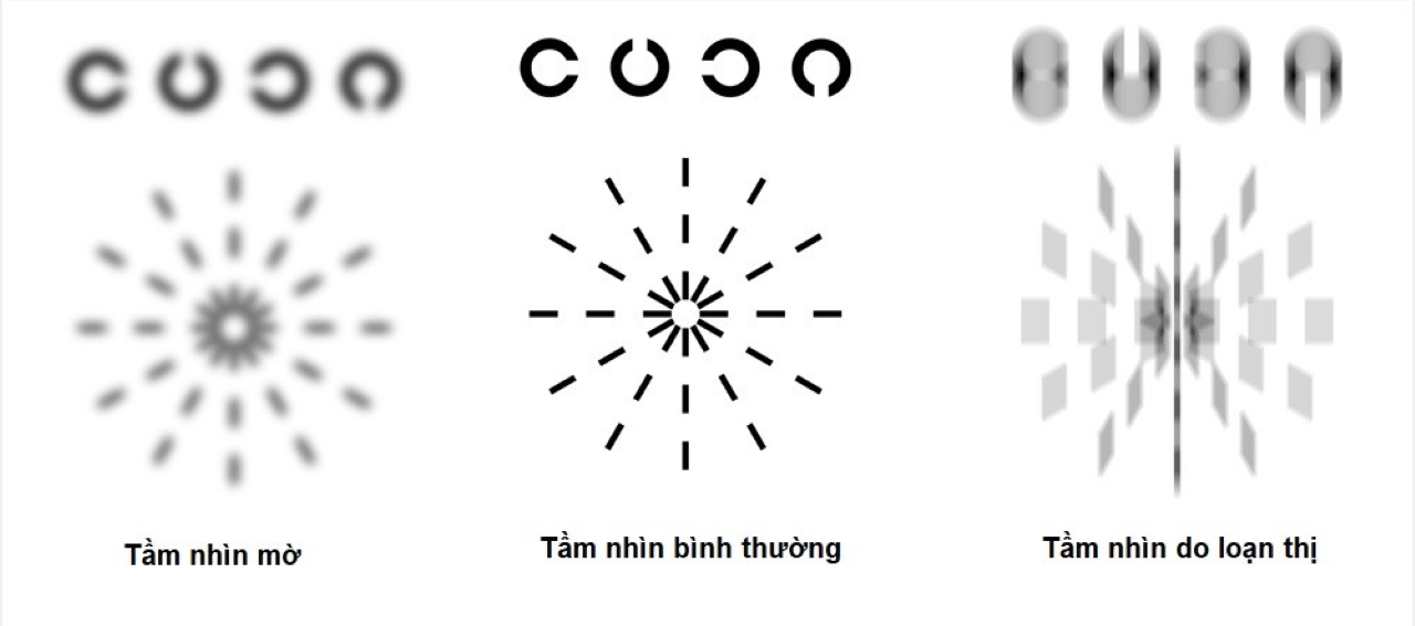 私たちが選んだ方法