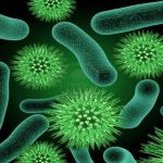 Những điều cần biết về viêm âm đạo do tạp khuẩn