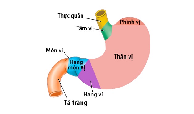 viem hang vi ta trang 1