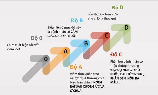 cac cap do trao nguoc da day 2