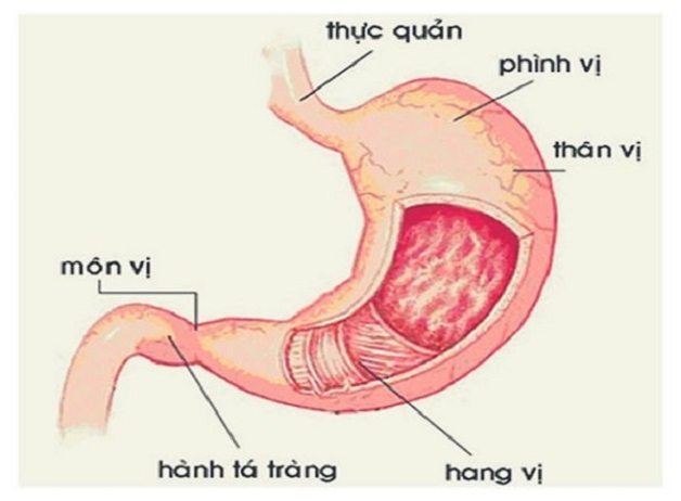 chua viem loet hanh ta trang 4