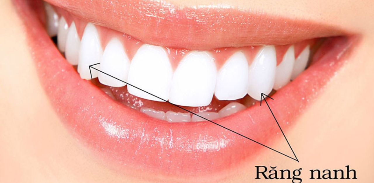 Tại sao răng nanh được gọi là răng nanh?
