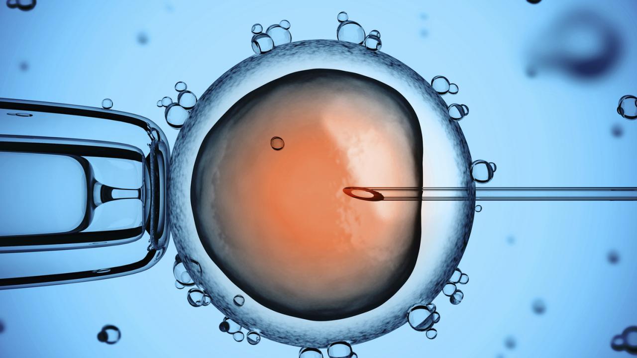 Làm thế nào để phát hiện thai ngoài tử cung khi làm IVF?

