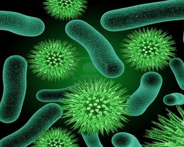Vi khuẩn là một trong những nguyên nhân gây bệnh