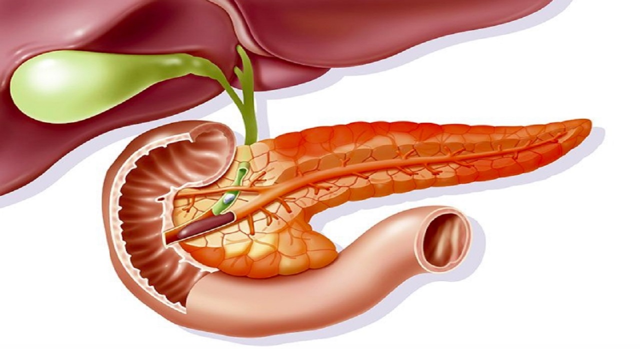 Từ siêu âm viêm tụy cấp có thể phát hiện được những thông tin gì về tình trạng viêm tụy của bệnh nhân?
