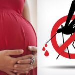 Bầu bị sốt xuất huyết 3 tháng cuối có thể truyền virus sang thai nhi