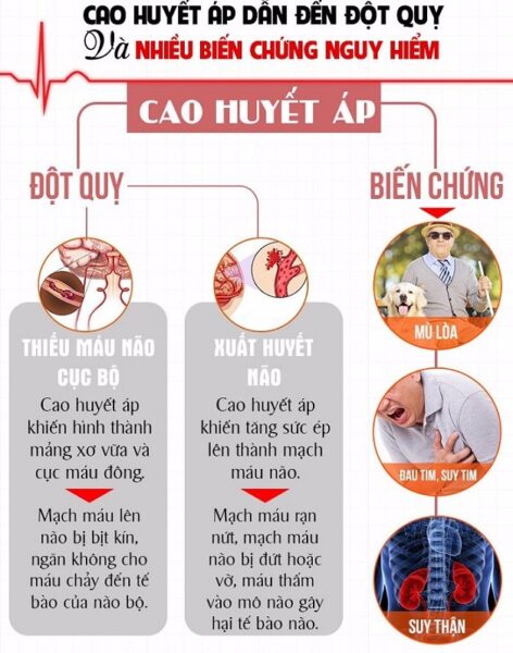 7. Các Câu Hỏi Thường Gặp