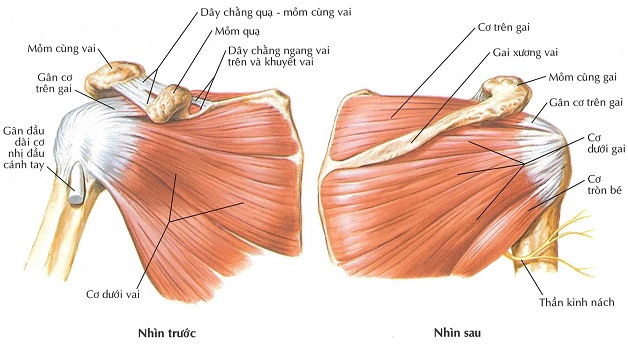 Các phương pháp phòng ngừa