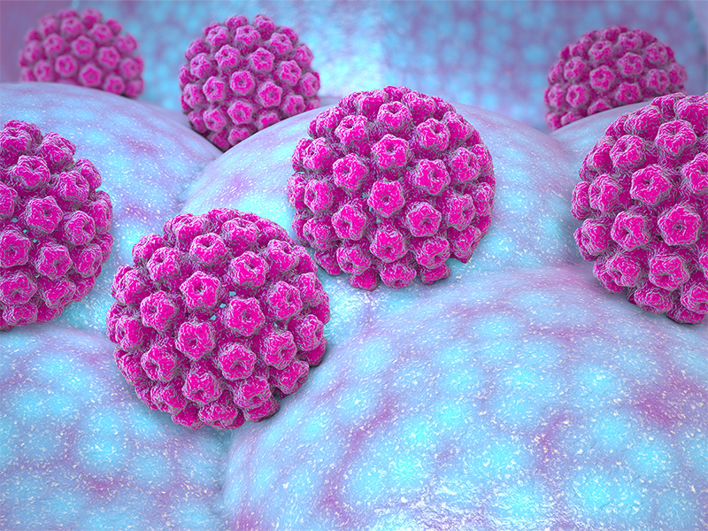 HPV là tên viết tắt của Human Papillomavirus, một loại virus gây ra u nhú ở con người