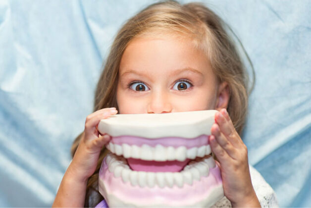 Giải đáp chi tiết thắc mắc: Răng hàm số 7 mọc khi nào?