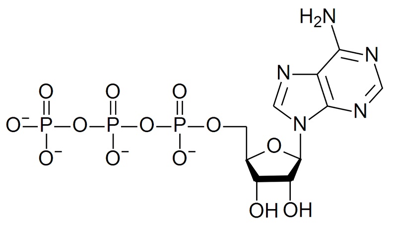 atp la gi 2