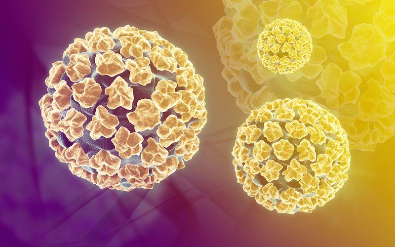 virus HPV