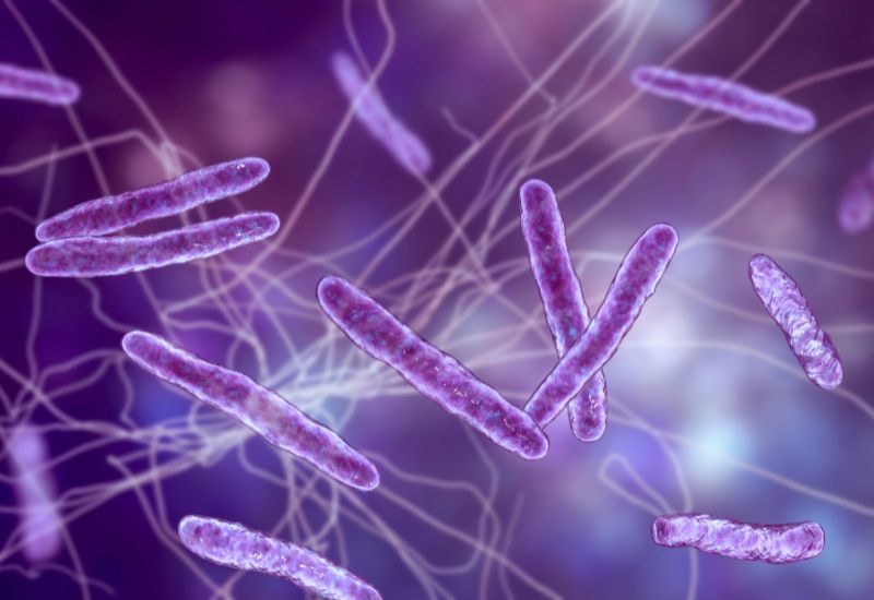 Lao là bệnh truyền nhiễm do vi khuẩn Mycobacterium tuberculosis gây ra.