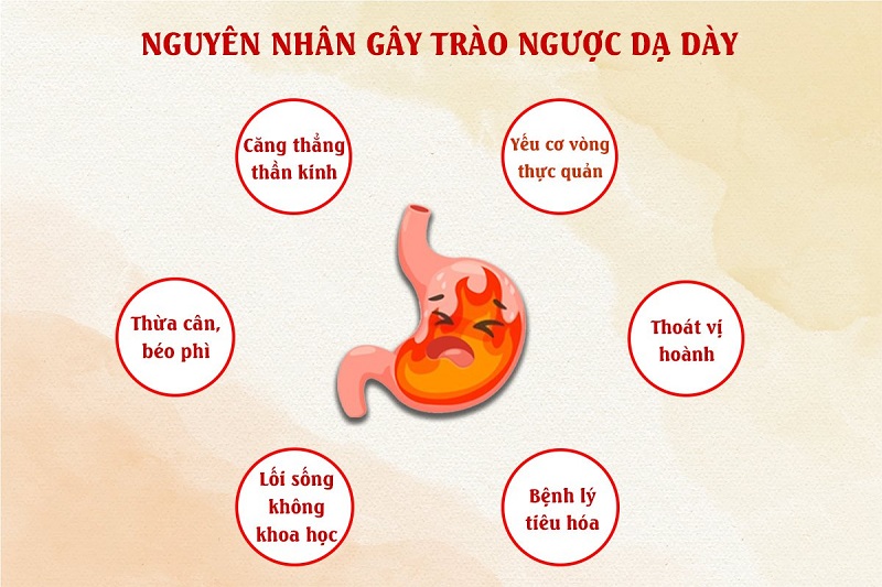 nguyen nhan trao nguoc la gi