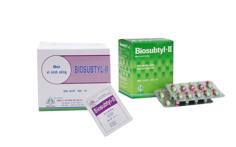 Biosubtyl: Giải pháp hiệu quả cho sức khỏe đường ruột