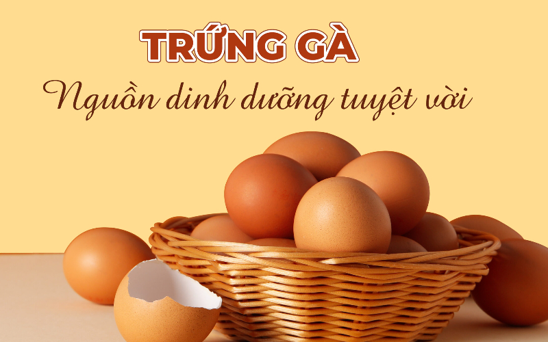 Thành phần dinh dưỡng trong fun88 chính thức