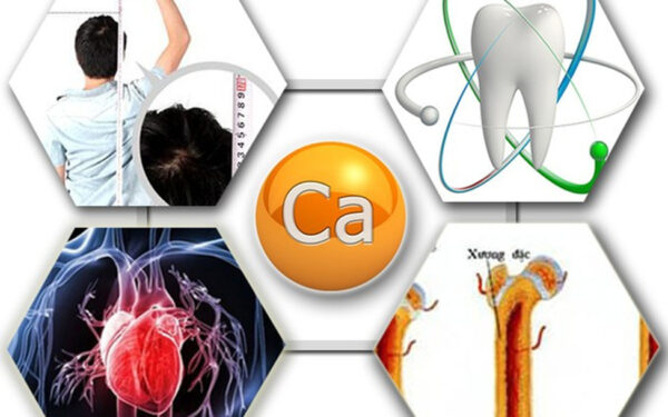 Canxi là một khoáng chất thiết yếu, đóng vai trò quan trọng trong việc xây dựng và duy trì sức khỏe của xương, răng.