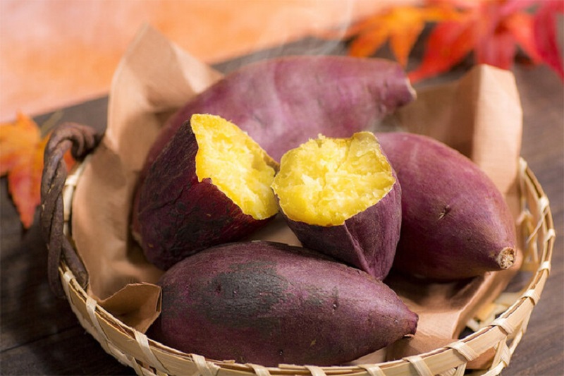 Bệnh trĩ ăn khoai lang được không