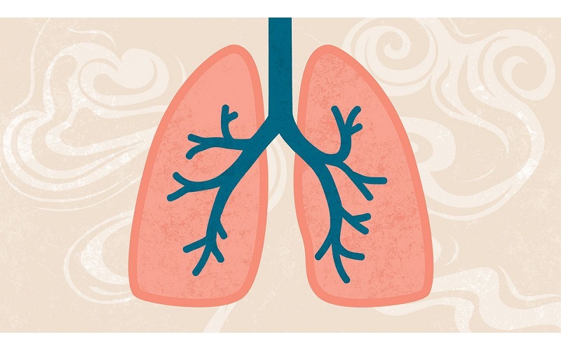 fun88 app copd