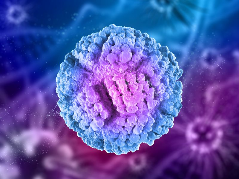 Virus này chủ yếu lây lan qua tiếp xúc tình dục, nhưng cũng có thể truyền qua tiếp xúc da hoặc sử dụng chung đồ vật trong một số trường hợp hiếm.