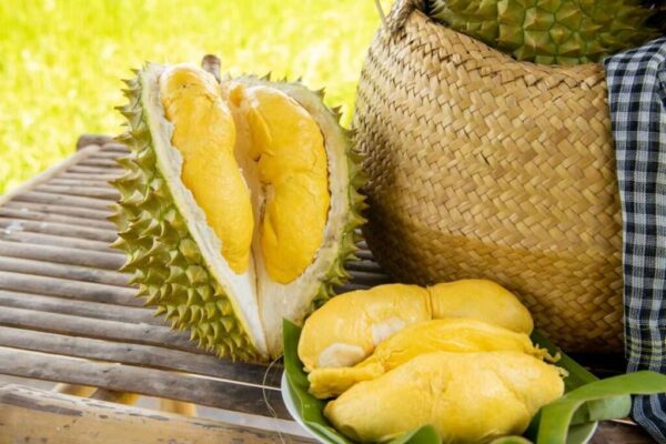 Một số loại trái cây lại cung cấp lượng calo đáng kể nhờ hàm lượng đường tự nhiên, chất béo hoặc carbohydrate cao.