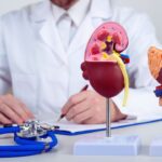 Sỏi đường tiết niệu uống thuốc gì – Sai lầm khiến bệnh nặng hơn