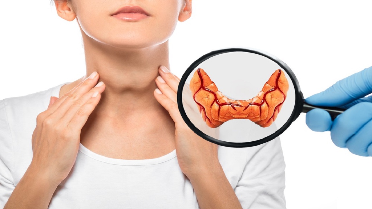 Tuyến giáp là tuyến nội tiết lớn nhất trong cơ thể, có hình dạng giống con bướm và nằm ở phía trước cổ