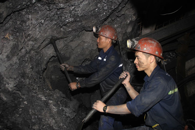 những người thường xuyên phải tiếp xúc với các chất gây hại trong môi trường làm việc - chẳng hạn như thợ mỏ, công nhân xây dựng, thợ hàn - cũng có nguy cơ cao mắc fun88 newcastle