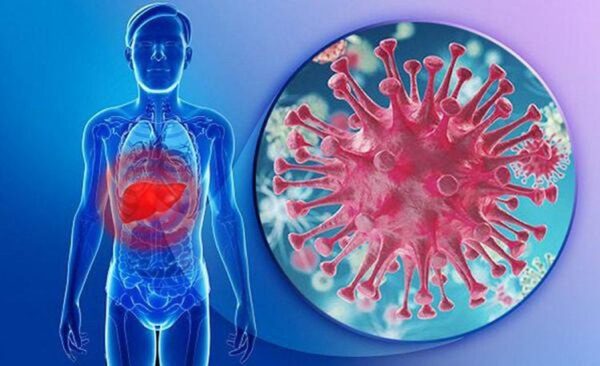 Viêm gan A và viêm gan B là hai bệnh truyền nhiễm do virus HAV và HBV gây ra, tấn công trực tiếp vào gan.