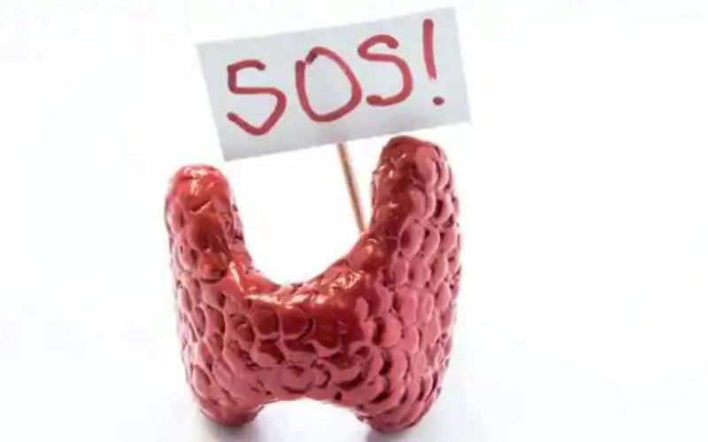 hai phụ có thể đối mặt với cơn bão giáp – một cấp cứu nội tiết hiếm gặp