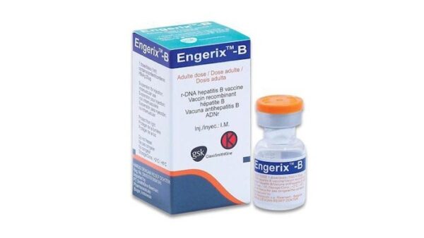Vắc xin viêm gan B Engerix được phát triển từ kháng nguyên bề mặt của virus viêm gan B.
